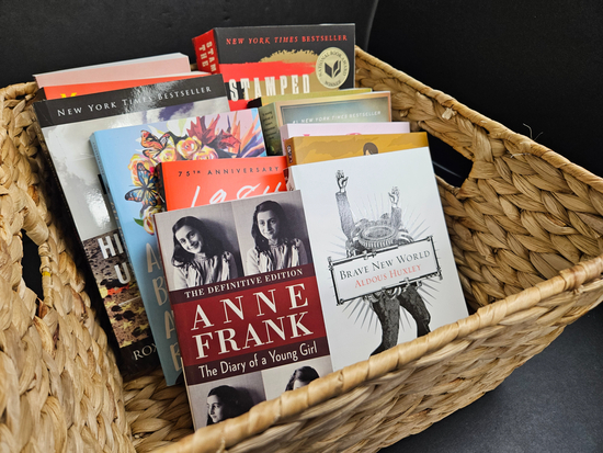 Banned Books for Young Adults; current bid $100